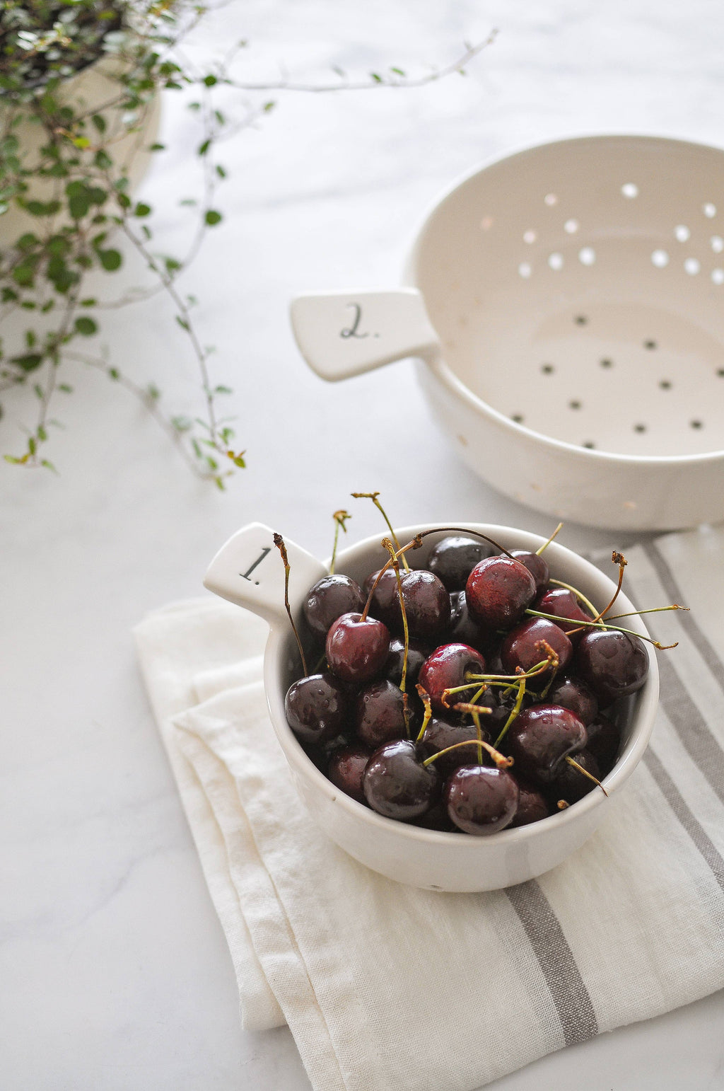 Rae Dunn Stem Print Colander Set of 2