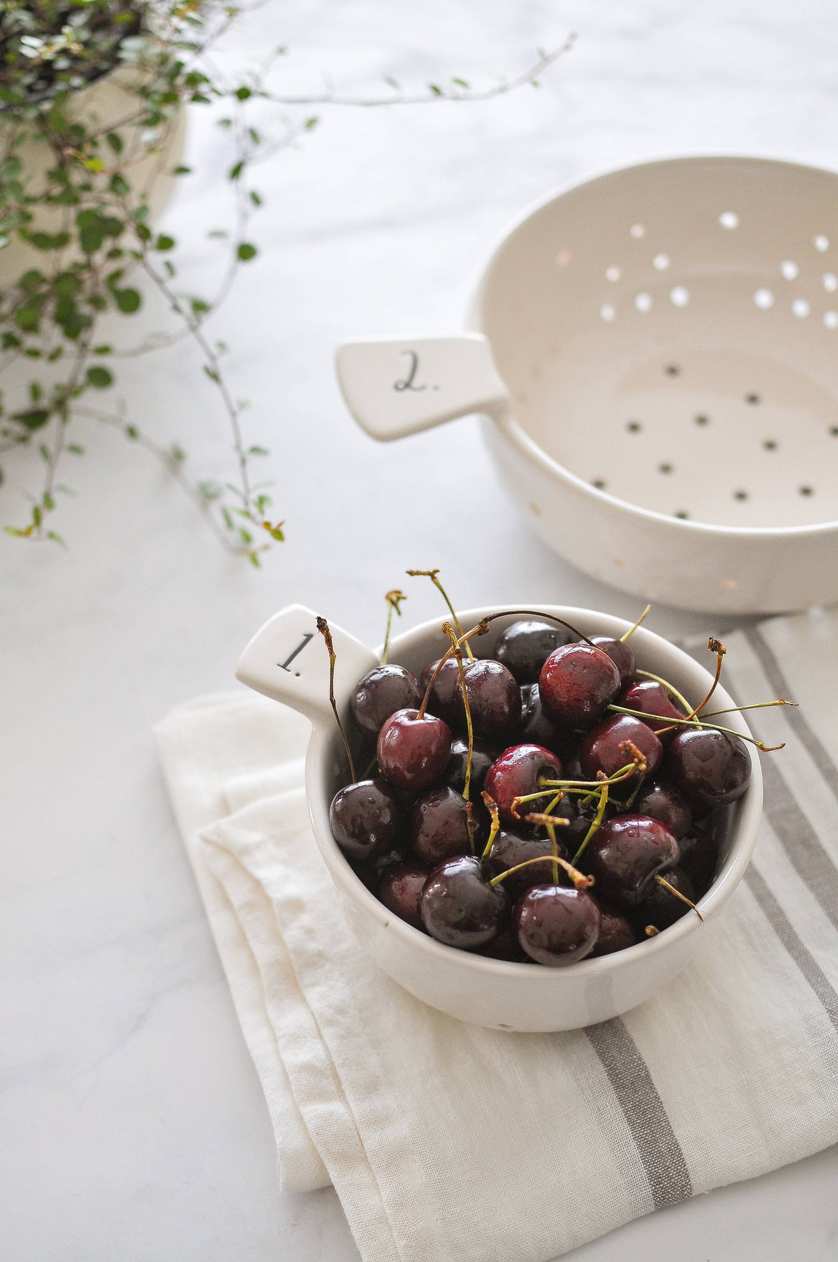 Rae Dunn Stem Print Colander Set of 2