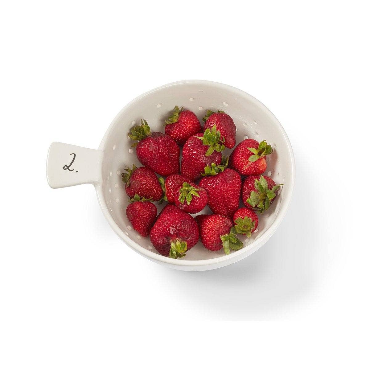 Rae Dunn Stem Print Colander Set of 2