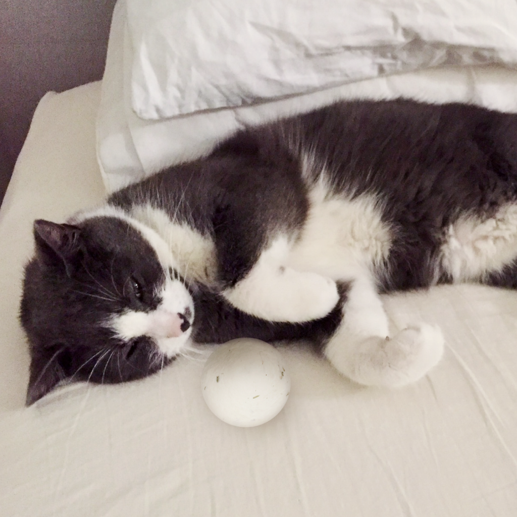 Catnip-Infused 2 Wool Balls | Natural Cat Toy | Eco Pet Gift