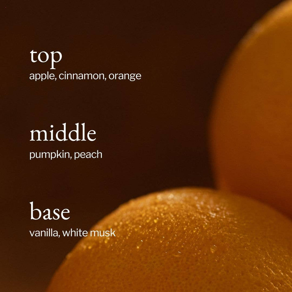 Reed Diffuser | Apple, Pumpkin & Orange: 120ml (full kit)
