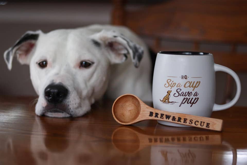 Downward Dog Decaf | Medium Roast | 1lb Bag | Organic Coffee: Whole bean