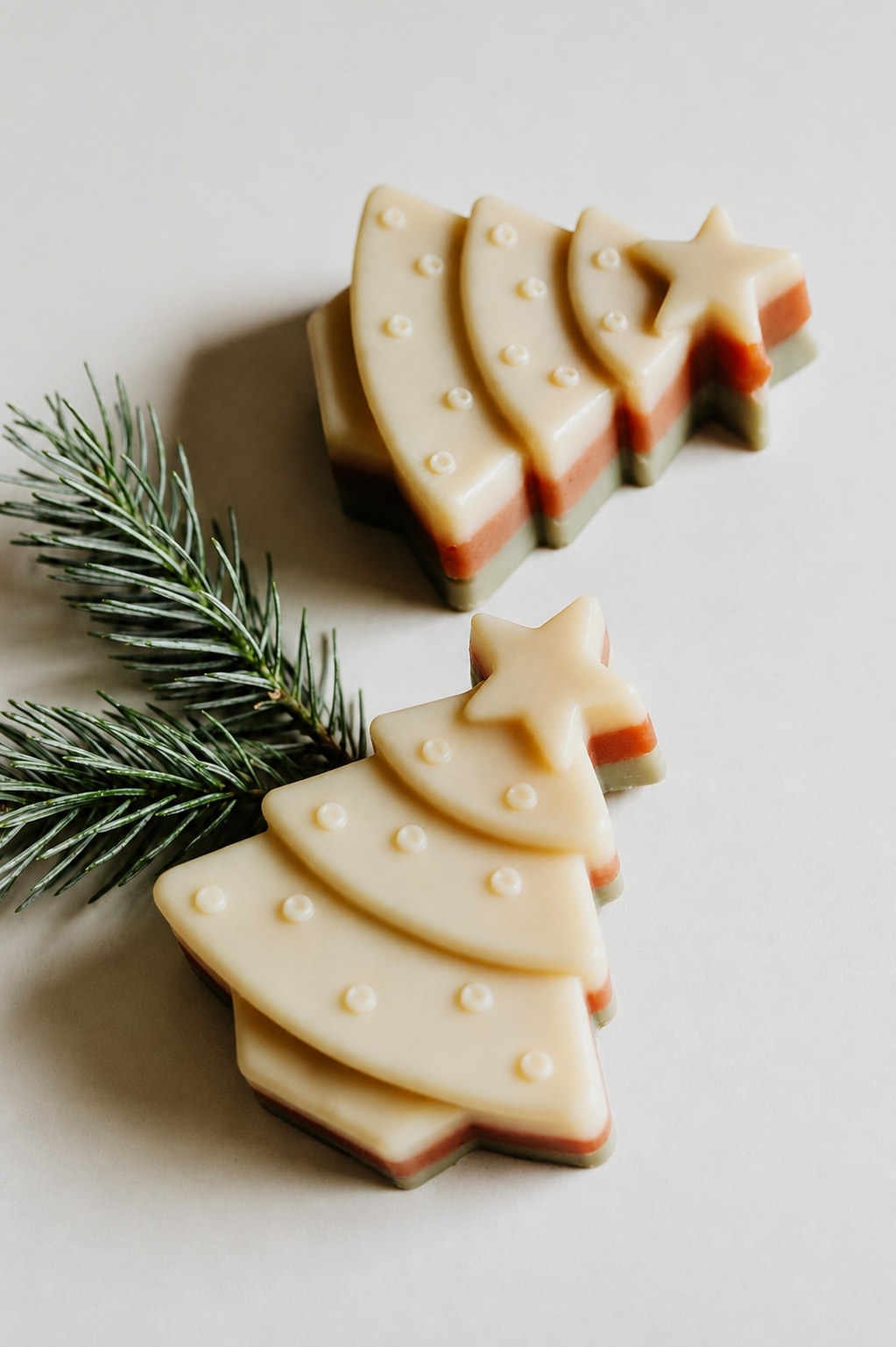 Evergreen Soap Bar  - Made in Canada