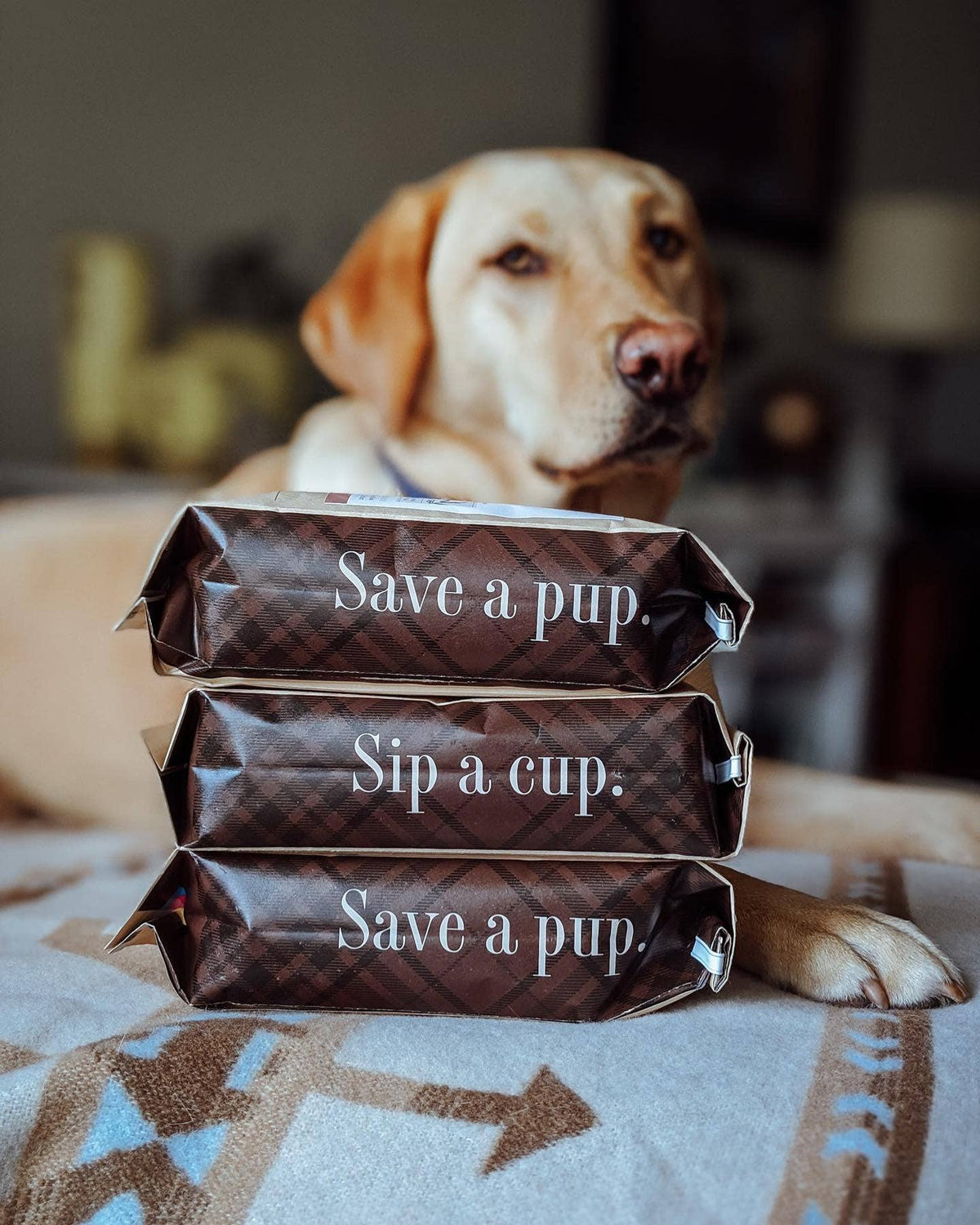 Go Fetch! | Medium-Dark Roast | 1lb Bag | Organic Coffee: Whole bean